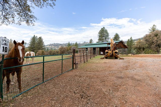 10070 Swiss Ranch Rd, Mountain Ranch, CA 95246
