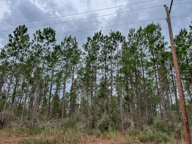 T-1 Farm To Market 1012, Newton, TX 75966