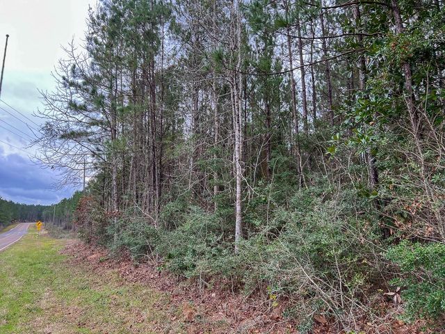 T-1 Farm To Market 1012, Newton, TX 75966