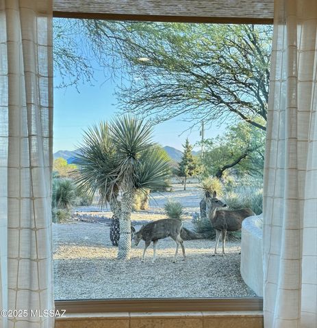 3400 W Lynx Lane, Benson, AZ 85602