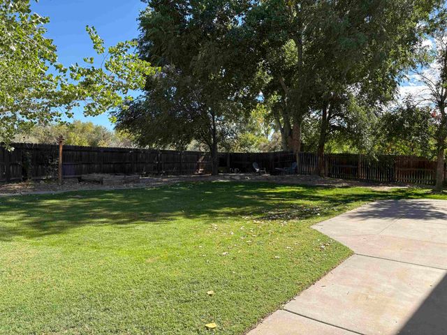 609 S Annabelle Court, Fruita, CO 81521