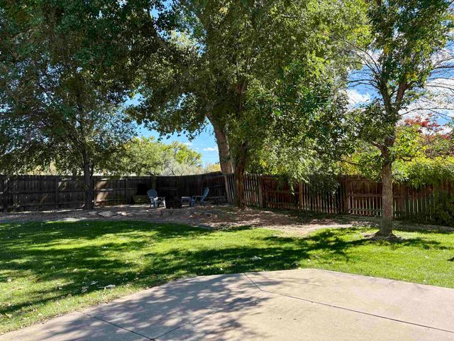 609 S Annabelle Court, Fruita, CO 81521
