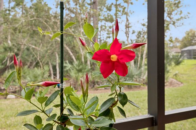 351 Point Pleasant Dr, St Augustine, FL 32086