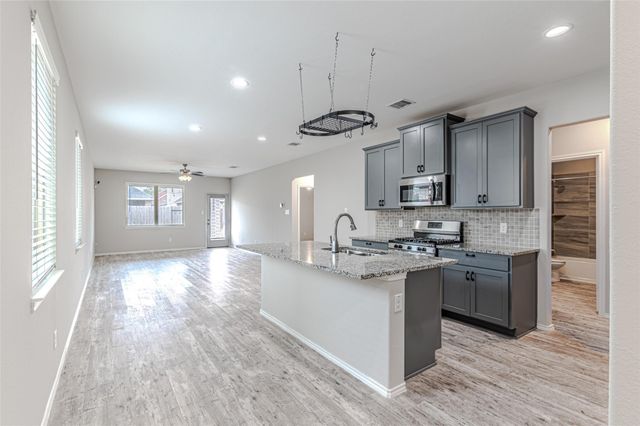 16887 Pink Wintergreen Drive, Conroe, TX 77385