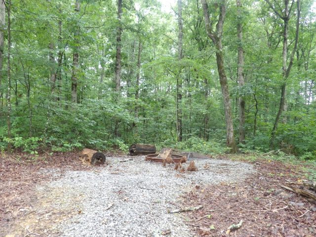 135 Tooley Trail Lane, Mc Ewen, TN 37101