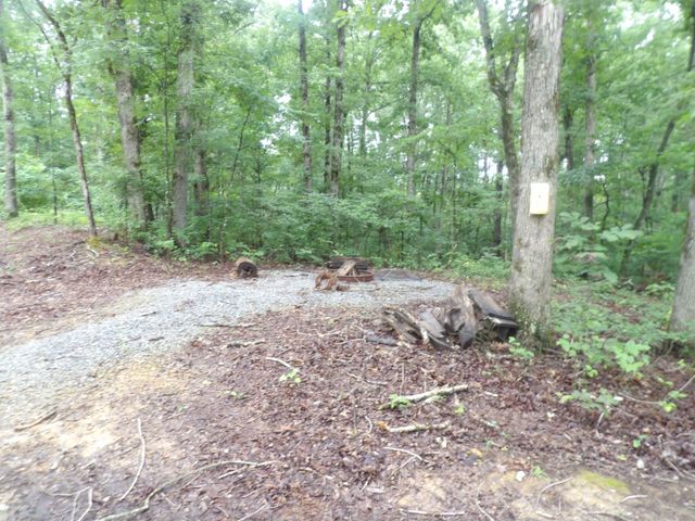 135 Tooley Trail Lane, Mc Ewen, TN 37101
