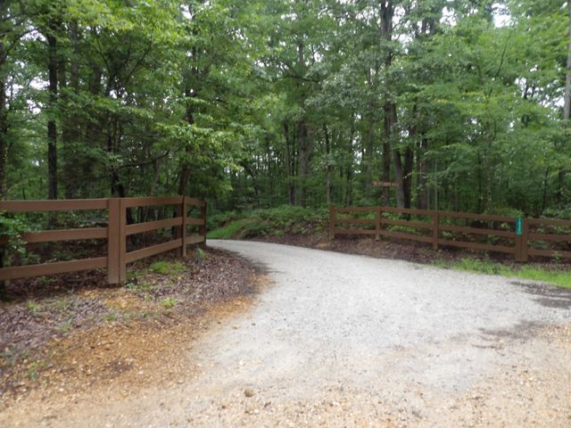 135 Tooley Trail Lane, Mc Ewen, TN 37101