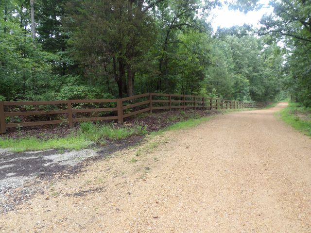 135 Tooley Trail Lane, Mc Ewen, TN 37101