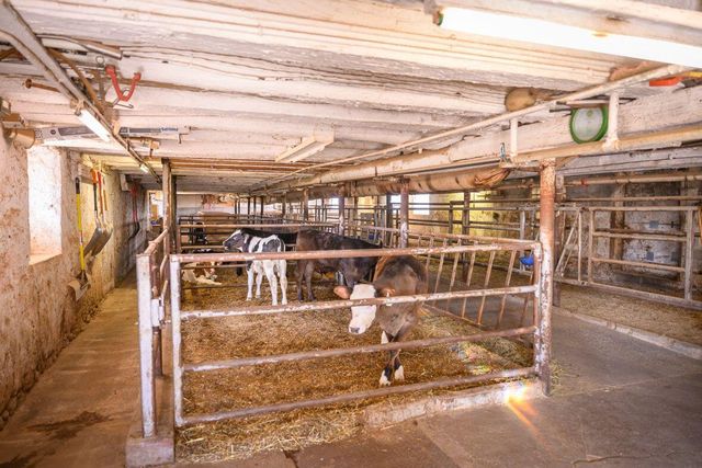 8223 Middle ROAD, Oostburg, WI 53070
