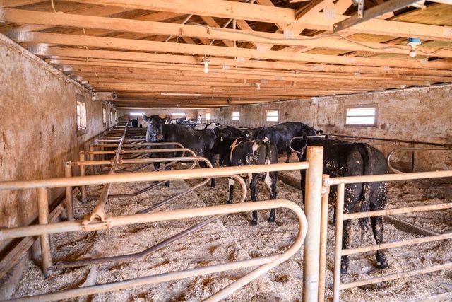 8223 Middle ROAD, Oostburg, WI 53070