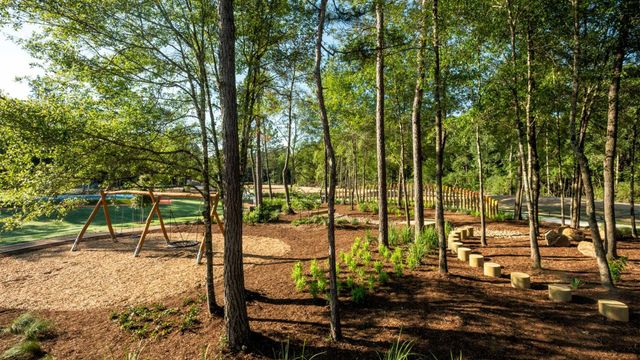 18426 Chameleon Court, Conroe, TX 77302