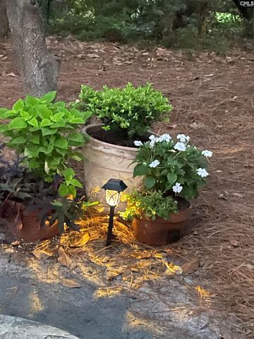 2204 Bee Ridge Road, Columbia, SC 29223