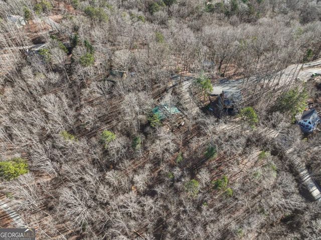 421 Cherokee Court, Ellijay, GA 30540