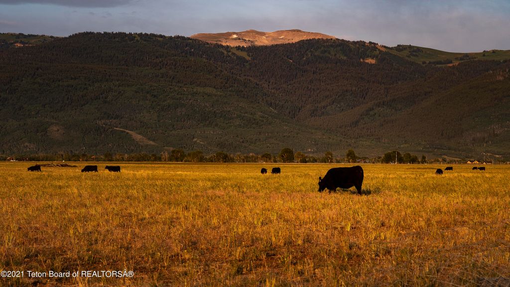 250 E 1750 N, Driggs, ID 83422 photo 2