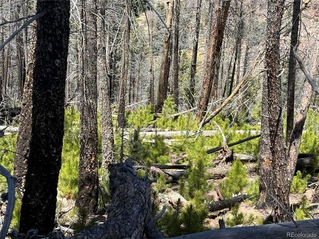 Lot 1154 Bluhdorn Place, Fort Garland, CO 81133