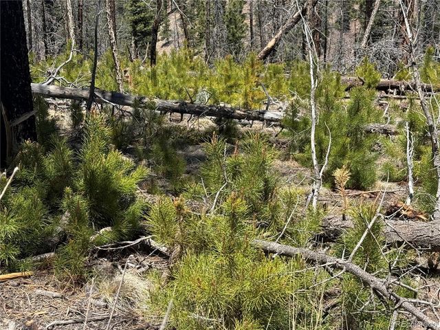 Lot 1154 Bluhdorn Place, Fort Garland, CO 81133