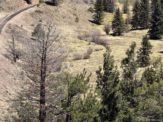 Lot 1154 Bluhdorn Place, Fort Garland, CO 81133