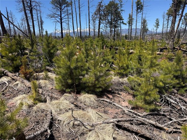 Lot 1154 Bluhdorn Place, Fort Garland, CO 81133