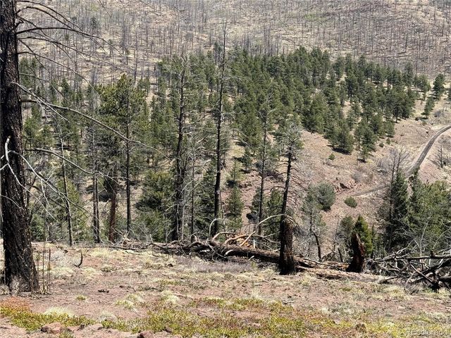 Lot 1154 Bluhdorn Place, Fort Garland, CO 81133
