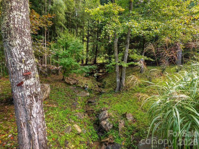 420 Chimney Rock Drive, Weaverville, NC 28787