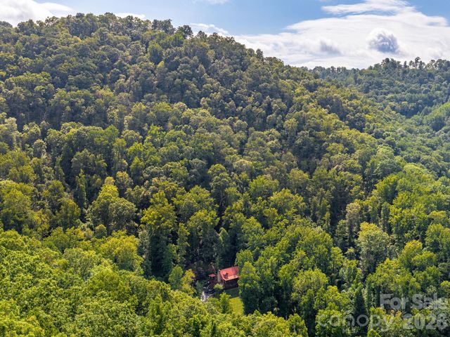 420 Chimney Rock Drive, Weaverville, NC 28787