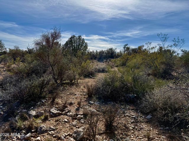 3605 N MARCOS DE NIZA Trail 241, Lake Montezuma, AZ 86342