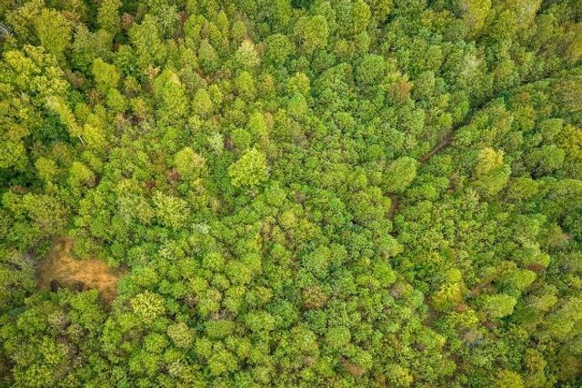 500 Moonlight Trl, Sparta, TN 38583