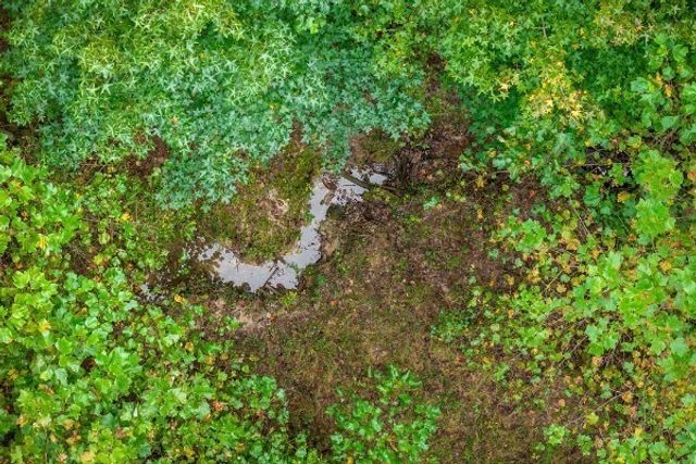 500 Moonlight Trl, Sparta, TN 38583