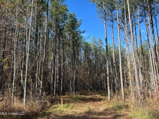 Coal Bluff Road, Lena, MS 39094