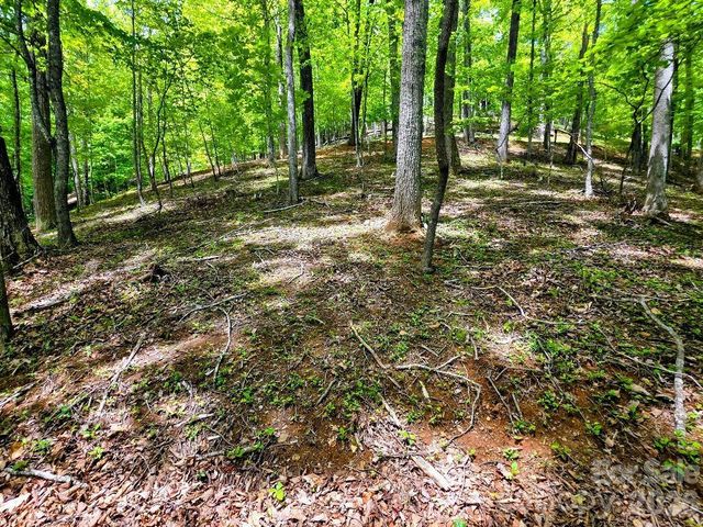 00 Hickory Springs Road 12, Burnsville, NC 28714