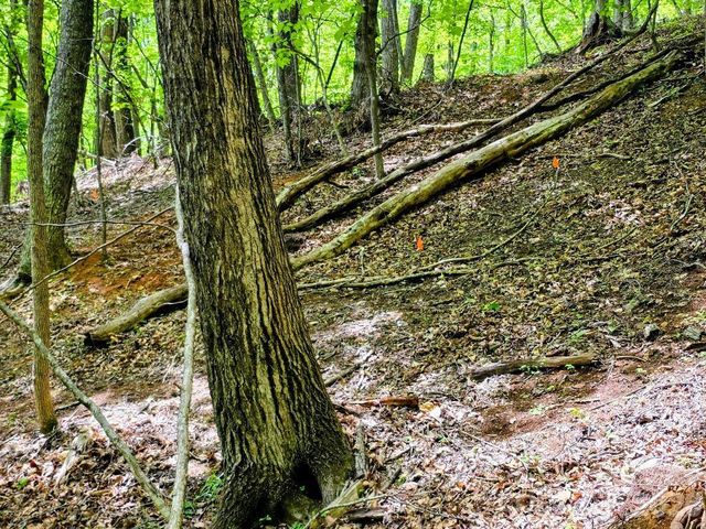 00 Hickory Springs Road 12, Burnsville, NC 28714