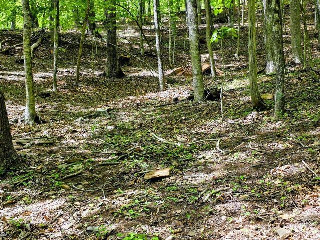 00 Hickory Springs Road 12, Burnsville, NC 28714