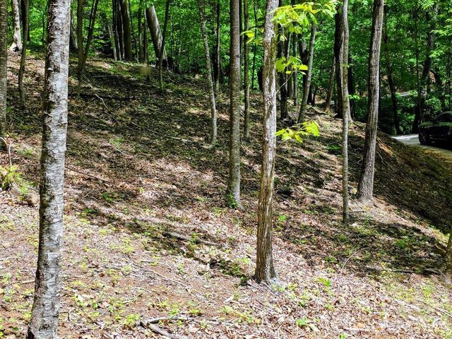 00 Hickory Springs Road 12, Burnsville, NC 28714