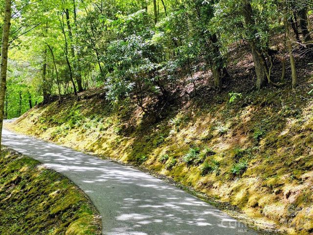 00 Hickory Springs Road 12, Burnsville, NC 28714