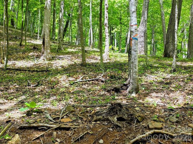 00 Hickory Springs Road 12, Burnsville, NC 28714