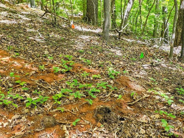 00 Hickory Springs Road 12, Burnsville, NC 28714