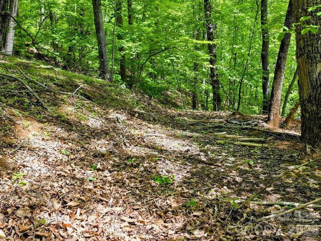 00 Hickory Springs Road 12, Burnsville, NC 28714
