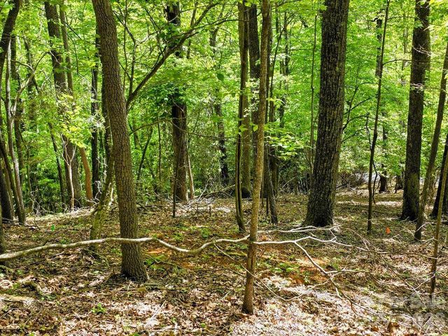 00 Hickory Springs Road 12, Burnsville, NC 28714