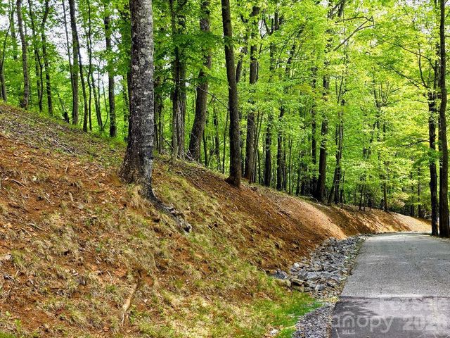 00 Hickory Springs Road 12, Burnsville, NC 28714