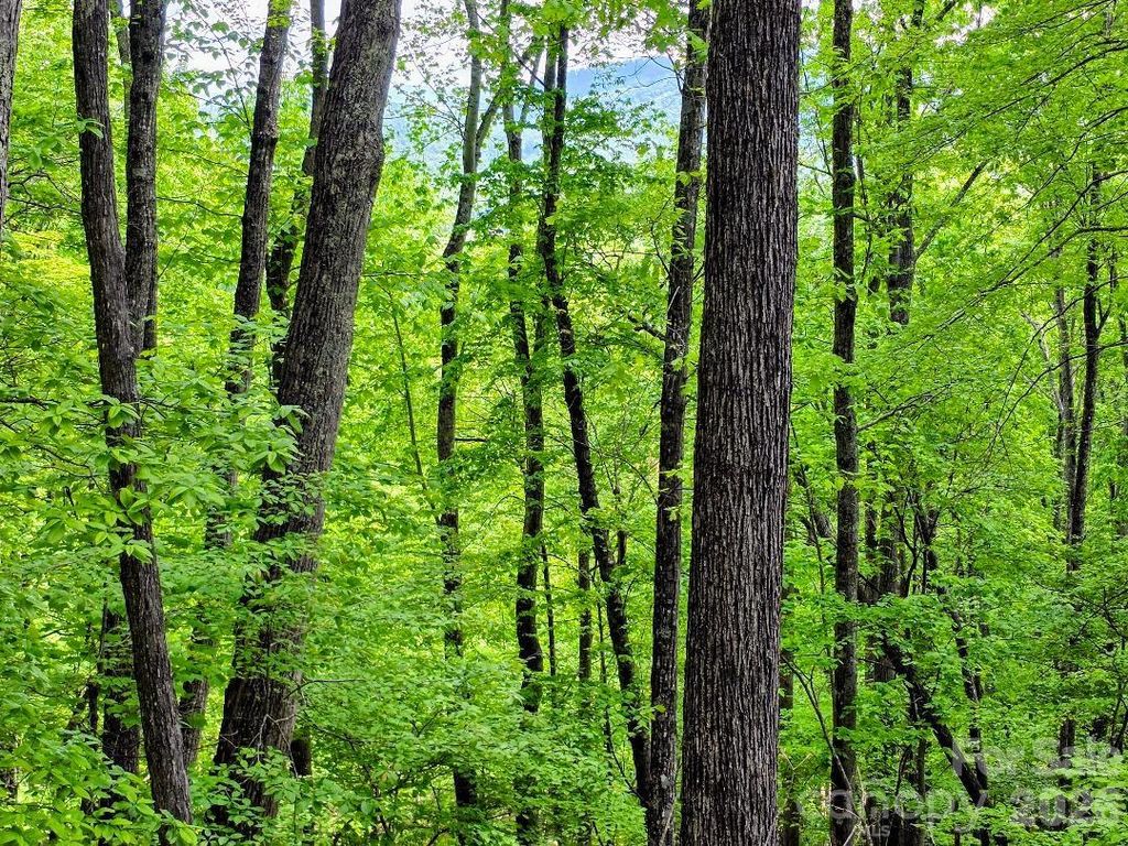 00 Hickory Springs Road 12, Burnsville, NC 28714