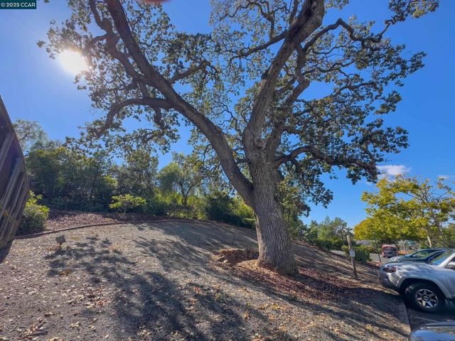 1420 Bel Air Dr 207, Concord, CA 94521