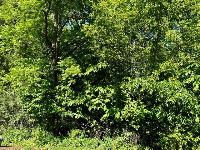 21177 N Valley Road, Kildeer, IL 60047