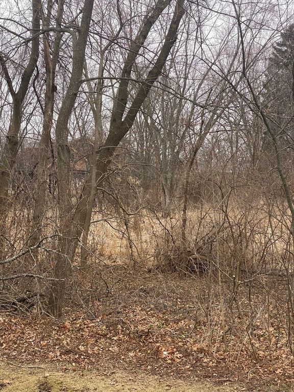 21177 N Valley Road, Kildeer, IL 60047