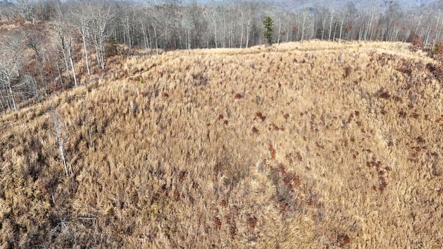 52 Coon Ridge Drive, Cannon, KY 40923