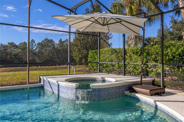 115 YELLOW SNAPDRAGON DRIVE, Davenport, FL 33837