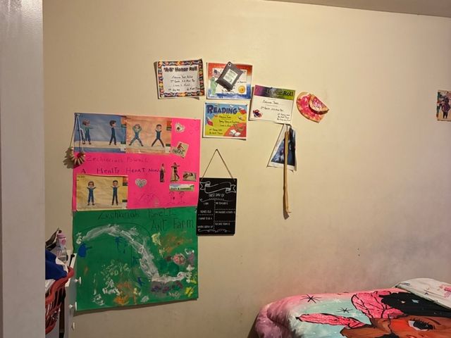 623 N Christiana Avenue, Chicago, IL 60624