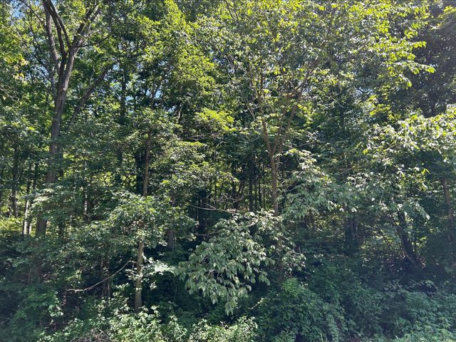 18781 Private Drive 1145, Ava, MO 65608