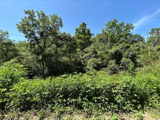 18781 Private Drive 1145, Ava, MO 65608