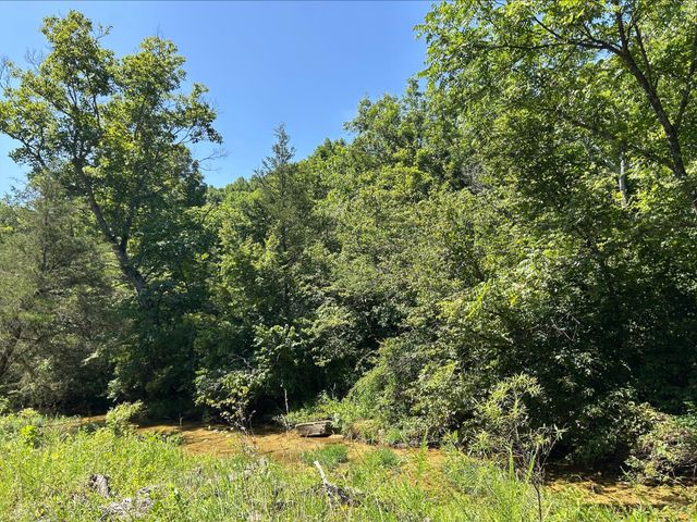 18781 Private Drive 1145, Ava, MO 65608