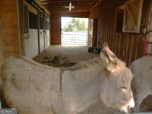 551 P. S. Road, Toccoa, GA 30577